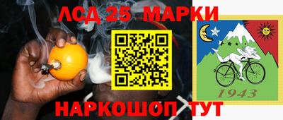 спайс Берёзовский
