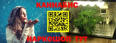 спайс Берёзовский