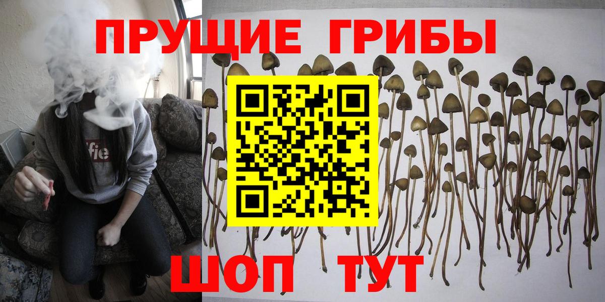 Карпинск  Псилоцибиновые грибы мицелий  цена наркотик  Вход с VPN 